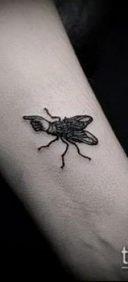 fotó egy légy tetoválásról (jelentése) - egy példa egy érdekes tetoválási rajzra - 036