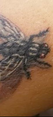 fénykép egy légy tetoválásról (jelentése) - egy példa egy érdekes tetoválási rajzra - 035