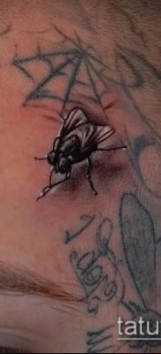 fotó egy légy tetoválásról (jelentése) - egy példa egy érdekes tetoválási rajzra - 033