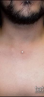 fénykép egy légy tetoválásról (jelentése) - egy példa egy érdekes tetoválási rajzra - 030