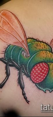 fotó egy légy tetoválásról (jelentése) - egy példa egy érdekes tetoválási rajzra - 029