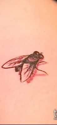 fotó egy légy tetoválásról (jelentése) - egy példa egy érdekes tetoválási rajzra - 028