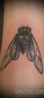 fotó egy légy tetoválásról (jelentése) - példa egy érdekes tetoválórajzra - 026
