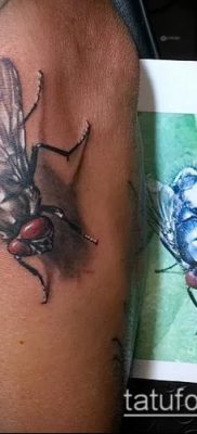 fénykép egy légy tetoválásról (jelentése) - egy példa egy érdekes tetoválási rajzra - 024
