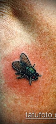 fénykép egy légy tetoválásról (jelentése) - egy példa egy érdekes tetoválási rajzra - 021