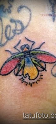 fotó egy légy tetoválásról (jelentése) - egy példa egy érdekes tetoválási rajzra - 017