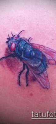 fénykép egy légy tetoválásról (jelentése) - egy példa egy érdekes tetoválási rajzra - 015