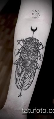 fénykép egy légy tetoválásról (jelentése) - egy példa egy érdekes tetoválási rajzra - 014