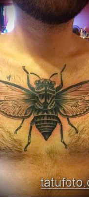 fénykép egy légy tetoválásról (jelentése) - egy példa egy érdekes tetoválási rajzra - 010