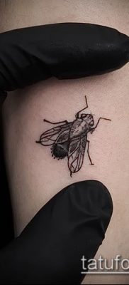 fotó egy légy tetoválásról (jelentése) - egy példa egy érdekes tetoválási rajzra - 007