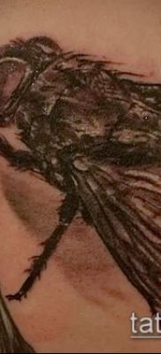 fénykép egy légy tetoválásról (jelentése) - egy példa egy érdekes tetoválási rajzra - 005