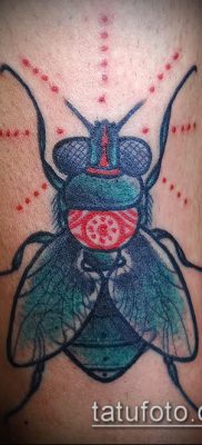 fénykép egy légy tetoválásról (jelentése) - példa egy érdekes tetováló rajzra - 003
