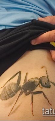 Снимка на татуировка на мравка (значение) - пример за интересен дизайн на татуировка - 052