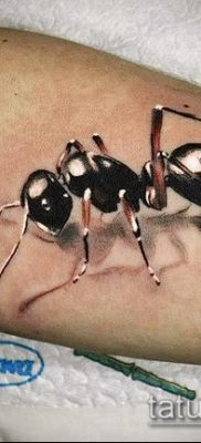 Снимка на татуировка на мравка (значение) - пример за интересен дизайн на татуировка - 051