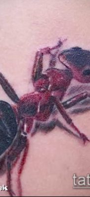 Снимка на татуировка на мравка (значение) - пример за интересен дизайн на татуировка - 049