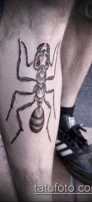 пример за татуировка на мравка на снимка 1