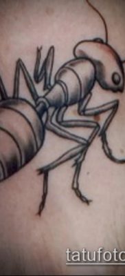 Снимка на татуировка на мравка (значение) - пример за интересна рисунка на татуировка - 045