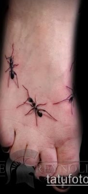 Снимка на татуировка на мравка (значение) - пример за интересна рисунка на татуировка - 043