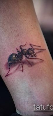 Снимка на татуировка на мравка (значение) - пример за интересен дизайн на татуировка - 042