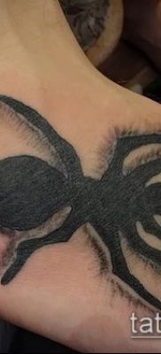 Снимка на татуировка на мравка (значение) - пример за интересна рисунка на татуировка - 041