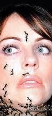 Снимка на татуировка на мравка (значение) - пример за интересна рисунка на татуировка - 040