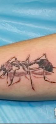 Снимка на татуировка на мравка (значение) - пример за интересен дизайн на татуировка - 038