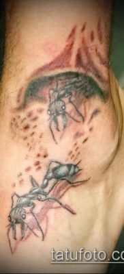 Снимка на татуировка на мравка (значение) - пример за интересен дизайн на татуировка - 037