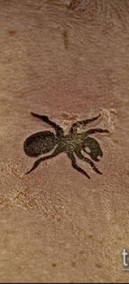 Снимка на татуировка на мравка (значение) - пример за интересен дизайн на татуировка - 034