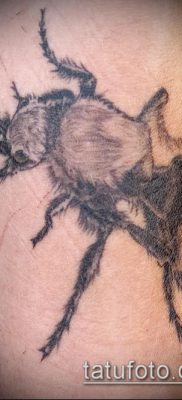 Снимка на татуировка на мравка (значение) - пример за интересна рисунка на татуировка - 030