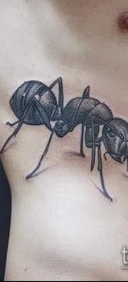 Снимка на татуировка на мравка (значение) - пример за интересна рисунка на татуировка - 028