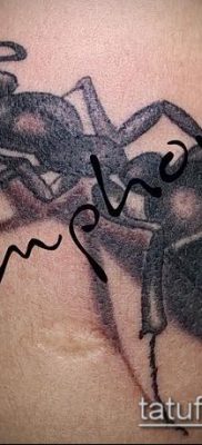 Снимка на татуировка на мравка (значение) - пример за интересен дизайн на татуировка - 027