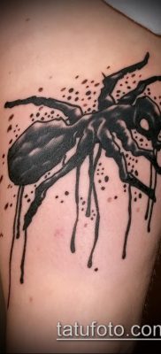 Снимка на татуировка на мравка (значение) - пример за интересен дизайн на татуировка - 026