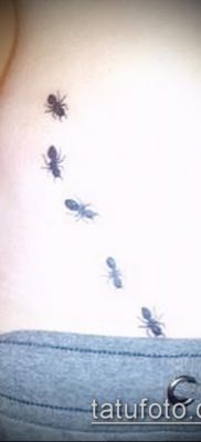 Снимка на татуировка на мравка (значение) - пример за интересна рисунка на татуировка - 025