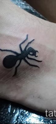 Снимка на татуировка на мравка (значение) - пример за интересна рисунка на татуировка - 022