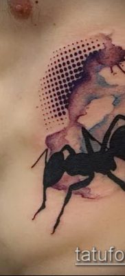 Снимка на татуировка на мравка (значение) - пример за интересен дизайн на татуировка - 021