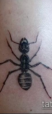 Снимка на татуировка на мравка (значение) - пример за интересен дизайн на татуировка - 020