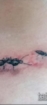 Снимка на татуировка на мравка (значение) - пример за интересен дизайн на татуировка - 018