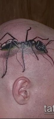 Снимка на татуировка на мравка (значение) - пример за интересна рисунка на татуировка - 016