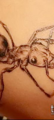 Снимка на татуировка на мравка (значение) - пример за интересен дизайн на татуировка - 015