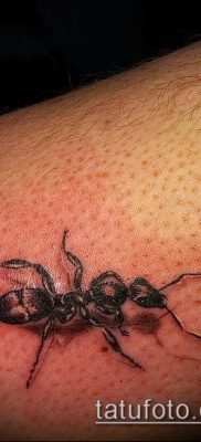 Снимка на татуировка на мравка (значение) - пример за интересен дизайн на татуировка - 014
