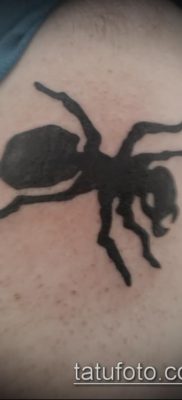 Снимка на татуировка на мравка (значение) - пример за интересна рисунка на татуировка - 011