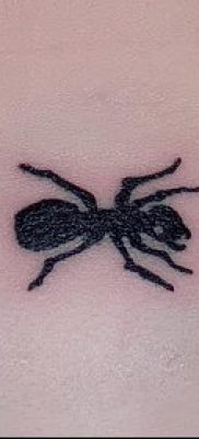 Снимка на татуировка на мравка (значение) - пример за интересна рисунка на татуировка - 007