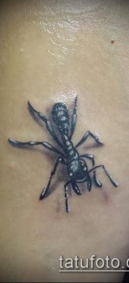 Снимка на татуировка на мравка (значение) - пример за интересен дизайн на татуировка - 006