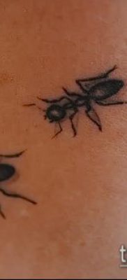Снимка на татуировка на мравка (значение) - пример за интересен дизайн на татуировка - 005