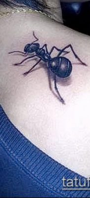 Снимка на татуировка на мравка (значение) - пример за интересен дизайн на татуировка - 004