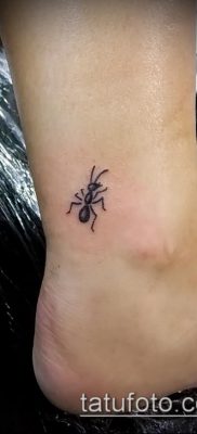 Снимка на татуировка на мравка (значение) - пример за интересна рисунка на татуировка - 003