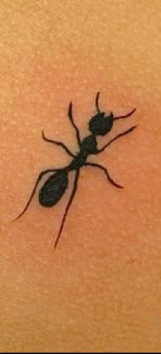 Снимка на татуировка на мравка (значение) - пример за интересен дизайн на татуировка - 002