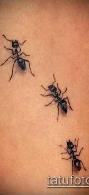 Снимка на татуировка на мравка (значение) - пример за интересен дизайн на татуировка - 001