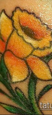 fotó egy nárcisz tetoválásról (Narcissus Tattoo) (érték) - példa rajz - 027