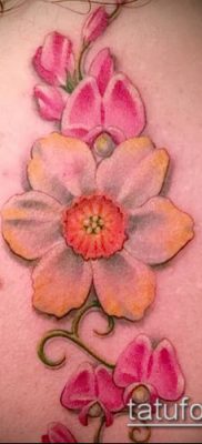 fénykép egy nárcisz tetoválásról (Narcissus Tattoo) (érték) - példa rajz - 024